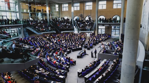 Unter den 31 Abgeordneten des neuen Bundestages aus Rheinland-Pfalz sind überdurchschnittlich viele Akademiker. Handwerkliche und technische Berufe sind fast nicht vertreten.