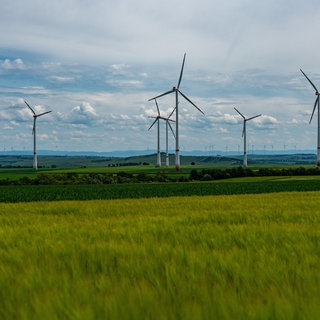 Der Deutsche Wetterdienst sieht gute Chancen für RLP, seinen Energiebedarf mit Windkraft und Photovoltaik zu decken.