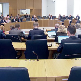 Der Landtag
