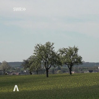 Rheinland-Pfalz Wetter vom 9.4.2025