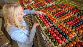Eine Frau steht vor Paletten mit bunten Ostereiern. Trotz hoher Nachfrage gibt es keinen Engpass vor Ostern