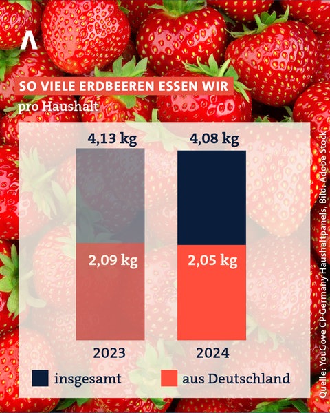 So viele Erdbeeren essen wir pro Haushalt jedes Jahr in Deutschland: 2024 waren es 4,08 Kilogramm pro Haushalt.