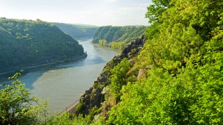 Blick auf den Rheinsteig zwischen der Loreley und Kaub.