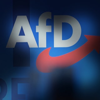 Das Bundesamt für Verfassungsschutz stuft die AfD als "gesichert rechtsextremistisch" in. 