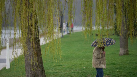 Wetterumschwung in Rheinland-Pfalz