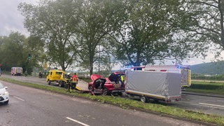 In Trier stürtzen Bäume auf fahrende Autos