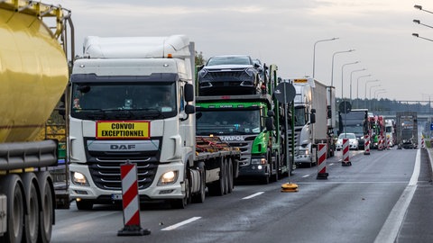 Viele Lkw stehen an der deutsch-polnischen Grenze in einem langen Stau. Grund: Die Grenzkontrollen auf deutscher Seite.