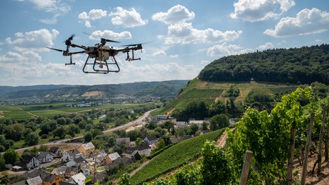 Pflanzenschutzmittel für die Weinreben aus der Luft. Drohnen sollen die Mosel-Winzer in den Steillagen unterstützen.