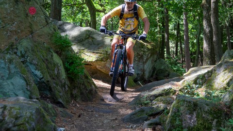 Ein Mountainbiker unterwegs im Pfälzerwald.