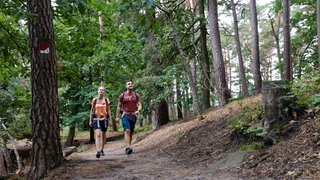 Eine Frau und ein Mann wandern auf dem Pfälzer Weinsteig. Das rot-weiße Symbol bietet ihnen Orientierung.  