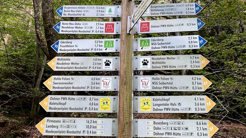 Komplexe Wegbeschilderung im Pfälzerwald.