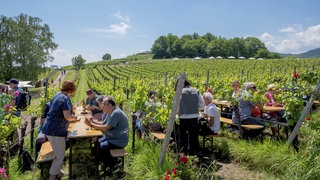 Ein Höhepunkt der Weinfest-Saison: Feiern in den Weinbergen in Birkweiler in der Südpfalz.