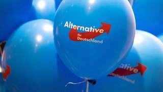 Die Landtagsfraktion der AfD in RLP soll laut Landesrechnungshof eine Viertel Million Euro aus Steuermitteln nicht korrekt verwendet  haben. 