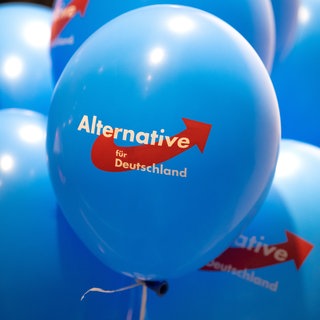 Die Landtagsfraktion der AfD in RLP soll laut Landesrechnungshof eine Viertel Million Euro aus Steuermitteln nicht korrekt verwendet  haben. 