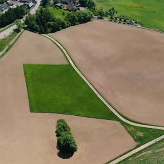 Trockenheit auf dem Land in Rheinland-Pfalz