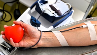 Arm mit Kanüle zum Blutspenden - In der Ferienzeit werden die Blutspenden knapp