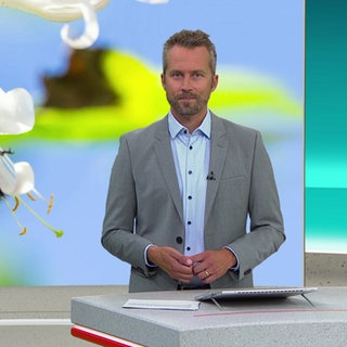 Nachrichtensprecher Stephan Ebmeyer