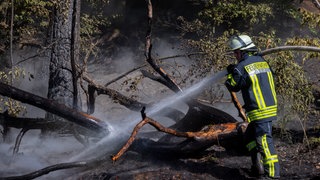 Ein Feuerwehrmann ist mit Löscharbeiten in einem Wald beschäftigt. Die Waldbrandgefahr in RLP steigt.