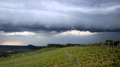 Gewitterwolken über einem Weinberg (Archiv) - Mit der Hitze kommen Gewitter