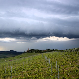 Gewitterwolken über einem Weinberg (Archiv) - Mit der Hitze kommen Gewitter