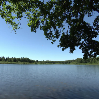 Haidenweiher in Steinebach an der Wied