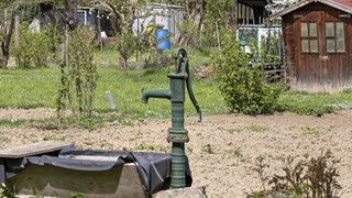 Beliebter denn je: Immer mehr Menschen in RLP wollen einen solchen Brunnen im Garten. Die Wasserförderung ist kostenlos und erlaubt. Aber ist der Privatbrunnen zum Gießen und Pool Befüllen in Zeiten von Trinkwasserknappheit die richtige Wahl?