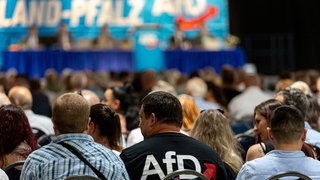 In Rheinland-Pfalz sollen AfD-Mitglieder nicht mehr in den Staatsdienst aufgenommen werden. 