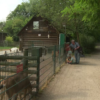 Tierpark