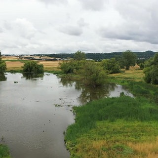Thürer Wiesen