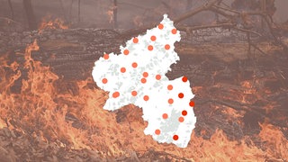 Eine Karte von Rheinland-Pfalz zeigt, wie hoch die Waldbrandgefahr aktuell an den Messstationen des Deutschen Wetterdienstes ist.