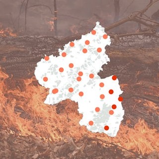 Eine Karte von Rheinland-Pfalz zeigt, wie hoch die Waldbrandgefahr aktuell an den Messstationen des Deutschen Wetterdienstes ist.