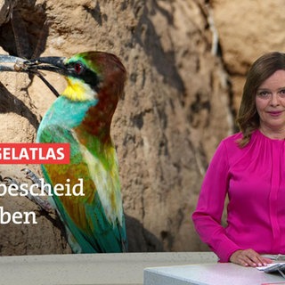 Nachrichtensprecherin Anke Neuzerling