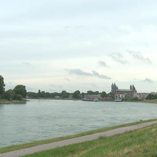 Der Rhein bei Speyer