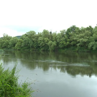 Flußlandschaft