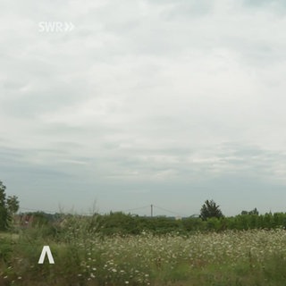 Rheinland-Pfalz Wetter vom 25.7.2025