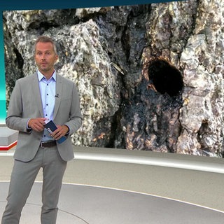 Nachrichtensprecher Stephan Ebmeyer.