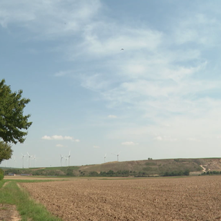 Acker in Wonsheim