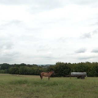 Rheinland-Pfalz Wetter vom 28.8.2025