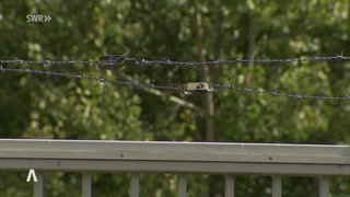 Ein Zaun mit Stacheldraht