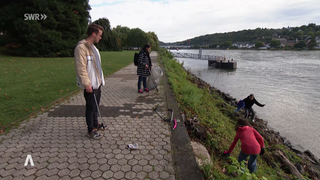 Rhine-Cleanup