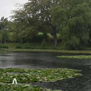 Rheinland-Pfalz Wetter vom 24.9.2025
