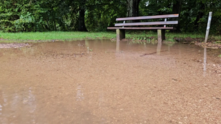 Nach dem Dauerregen der letzten Tage wurden auch in Zerf an der Mosel Bänke in Ufernähe überflutet.