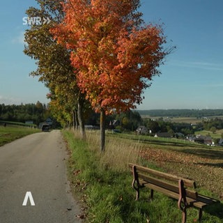 Rheinland-Pfalz Wetter vom 2.10.2025