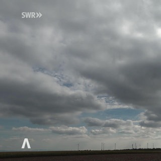 Rheinland-Pfalz Wetter vom 8.10.2025