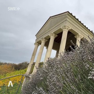 Rheinland-Pfalz Wetter vom 16.10.2025