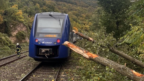 Wegen des Sturms ist ein vlexx-Zug bei Bad Kreuznach in die auf die Gleise ragenden Bäume gefahren.