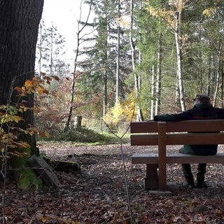 Ein Mann sitzt im Wald auf einer Bank