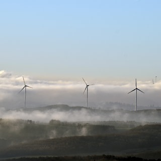 Aussicht vom Wildenburger Kopf im Nationalpark Hunsrück-Hochwald auf das Naheland an einem nebligen Wintermorgen. Neue Standorte für Windräder sind in Rheinland-Pfalz sorgen erneut für heftige Diskussionen.
