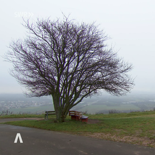 Nebelige Landschaft