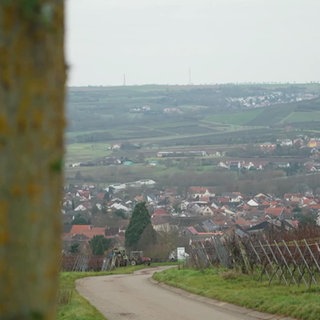 Ausblick von einem Hügel bei Schwabenheim an der Selz